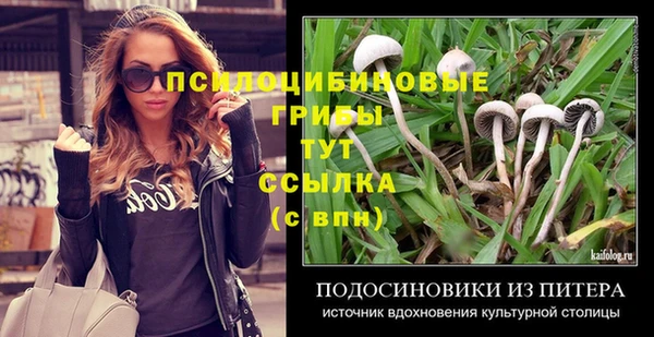 твердый Нягань