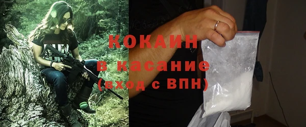 твердый Нягань