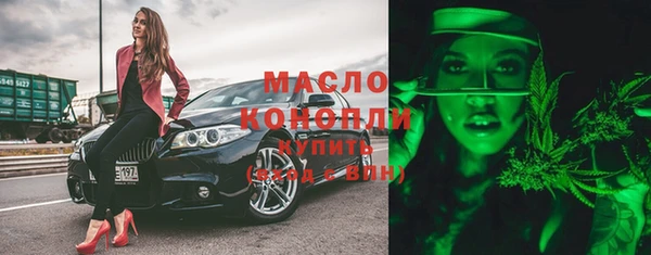 индика Белая Холуница