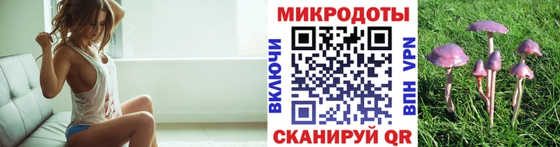 Псилоцибиновые грибы Cubensis  Барнаул 