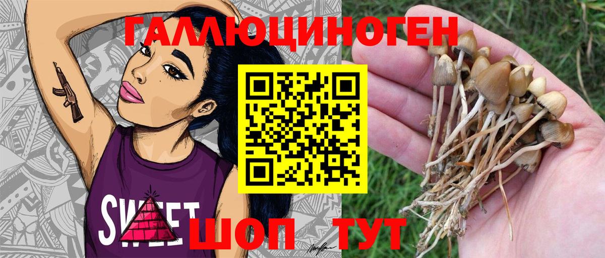 Галлюциногенные грибы прущие грибы  Барнаул 